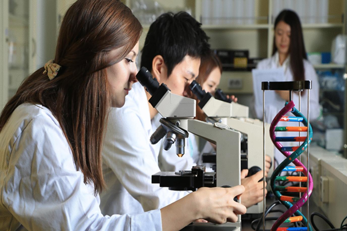 Dongguk Industry Academy Cooperation Foundation